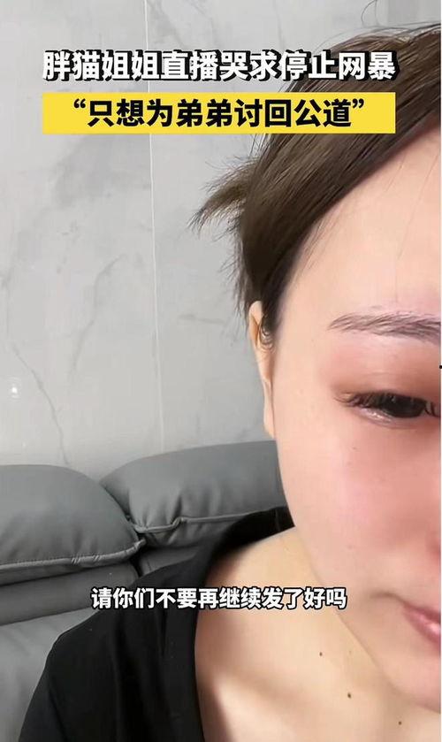 最新博主爆料胖猫是谁,最新博主爆料,胖猫身份引发热议!
