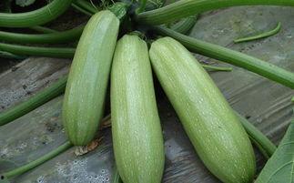 威远吃瓜最新事件爆料是真的吗,最新爆料真相揭秘